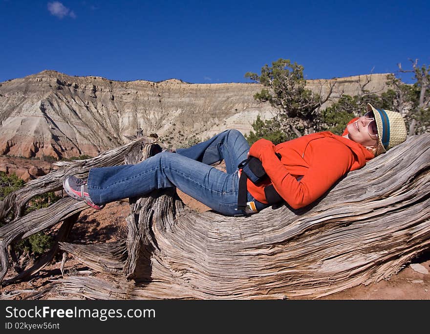 Young beautiful woman taking a rest on an old pine tree. Young beautiful woman taking a rest on an old pine tree