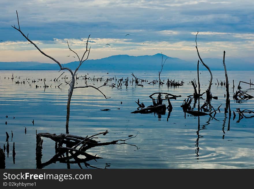 Dying Lake at Dusk