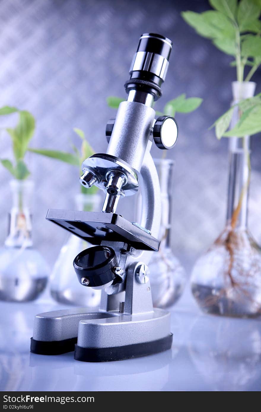 Plants In Laboratory