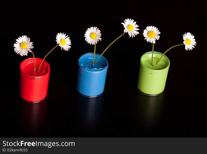 Paint bucket with flower inside, shot on dark background. Paint bucket with flower inside, shot on dark background