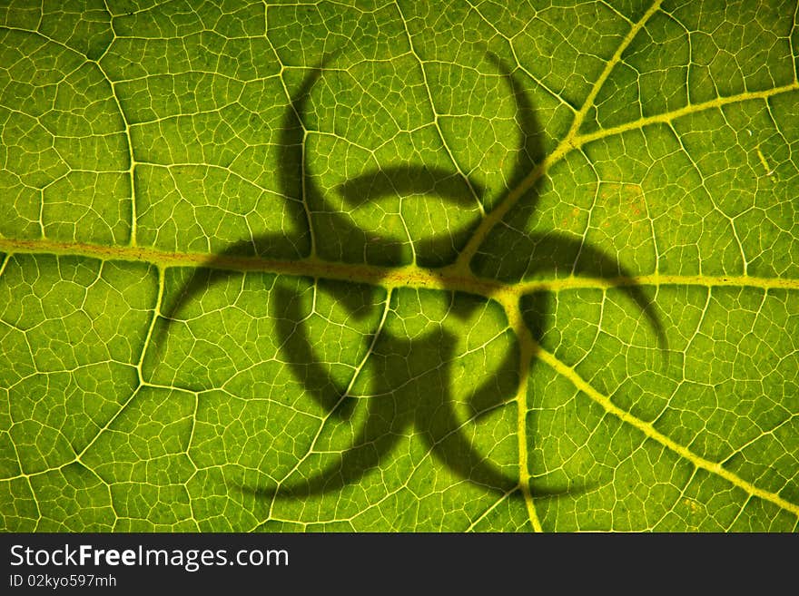 Green Leaf Structure with recycling shadow shot over light. Green Leaf Structure with recycling shadow shot over light