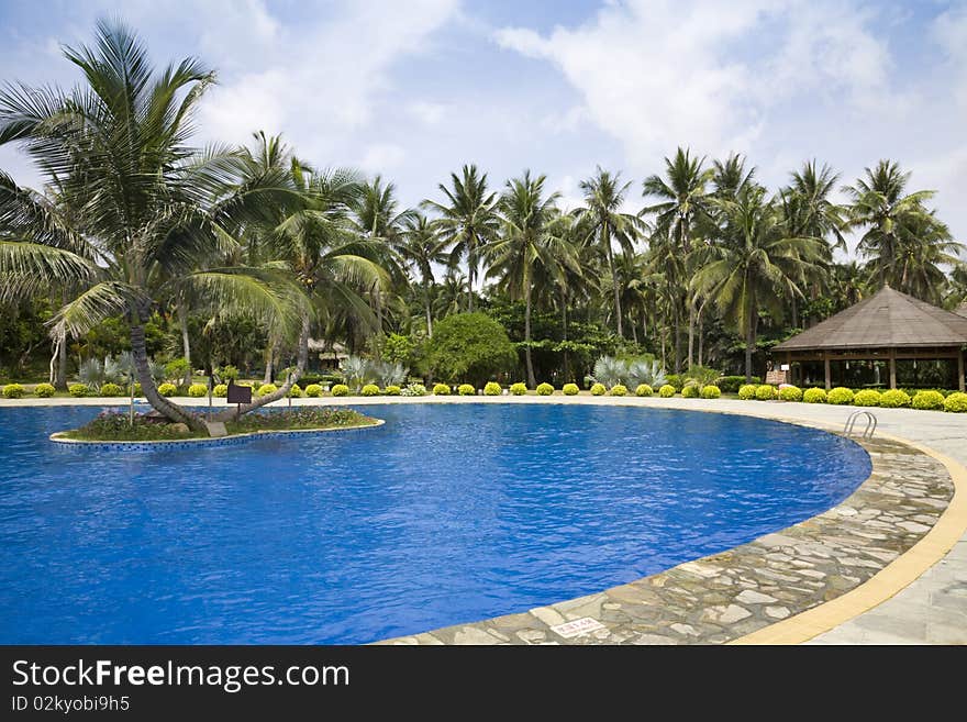 Swimming pool with palm trees in tropical resort