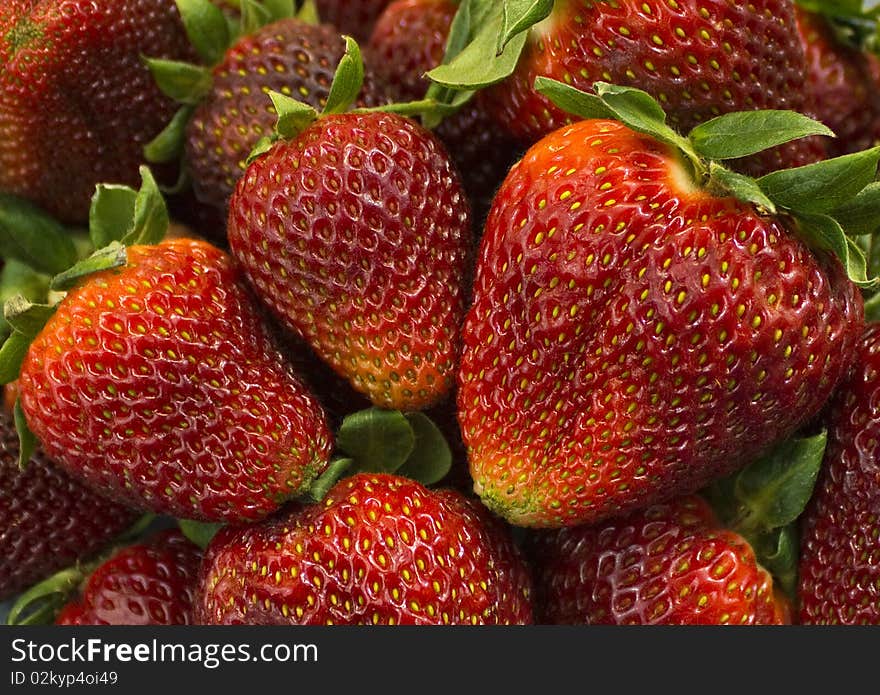 Fresh Strawberries close-up