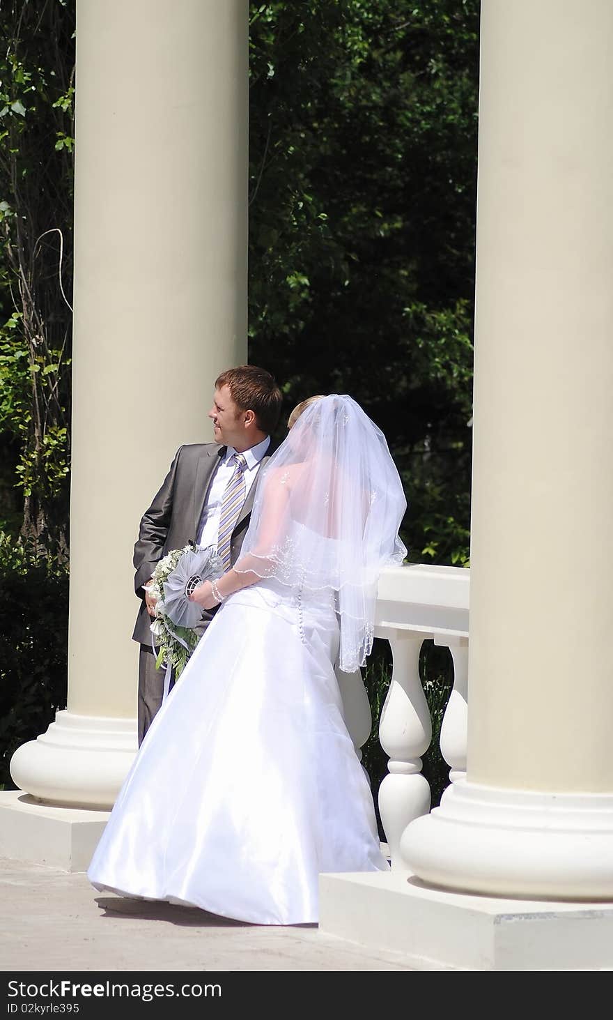 The groom and the bride in outdoors. The groom and the bride in outdoors