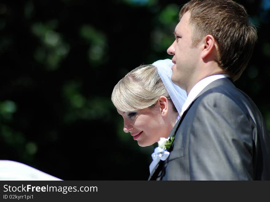 The groom and the bride in outdoors. The groom and the bride in outdoors