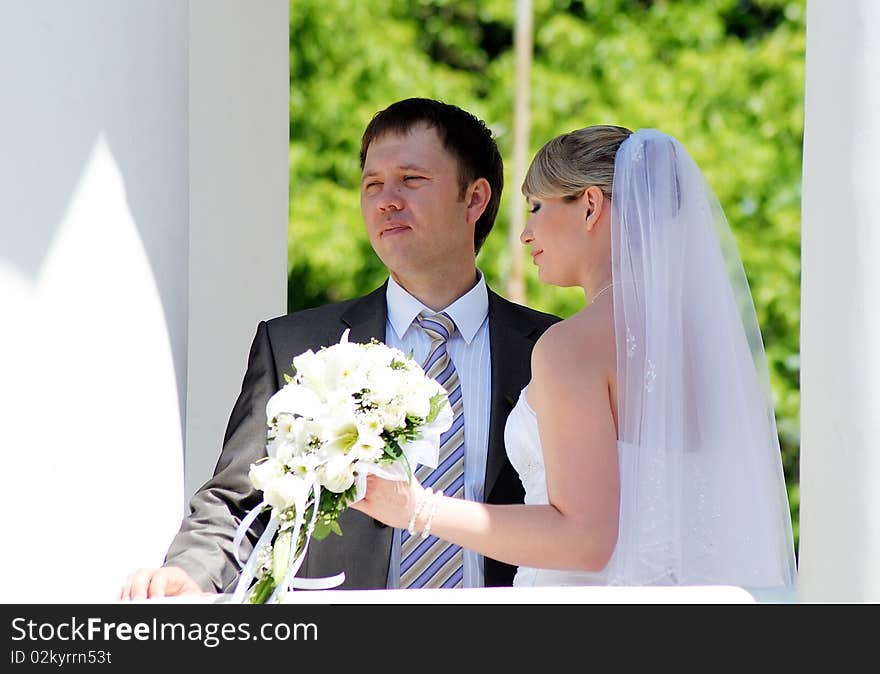 The groom and the bride in outdoors. The groom and the bride in outdoors