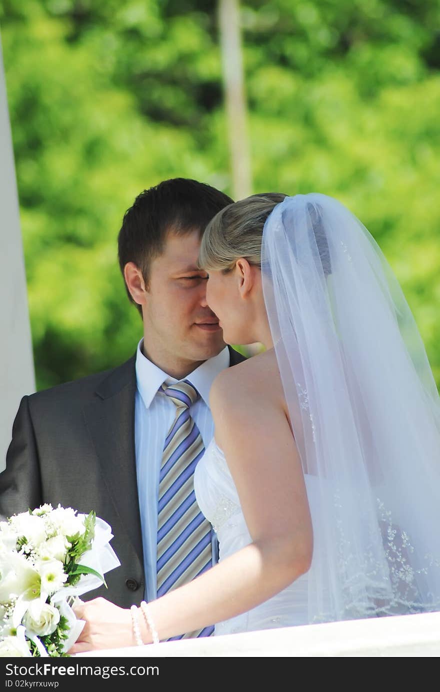 The groom and the bride in outdoors. The groom and the bride in outdoors