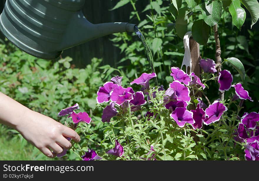 Girl Watering Flowers