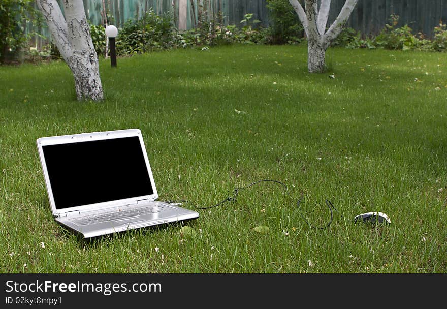 Laptop in nature, communication in park