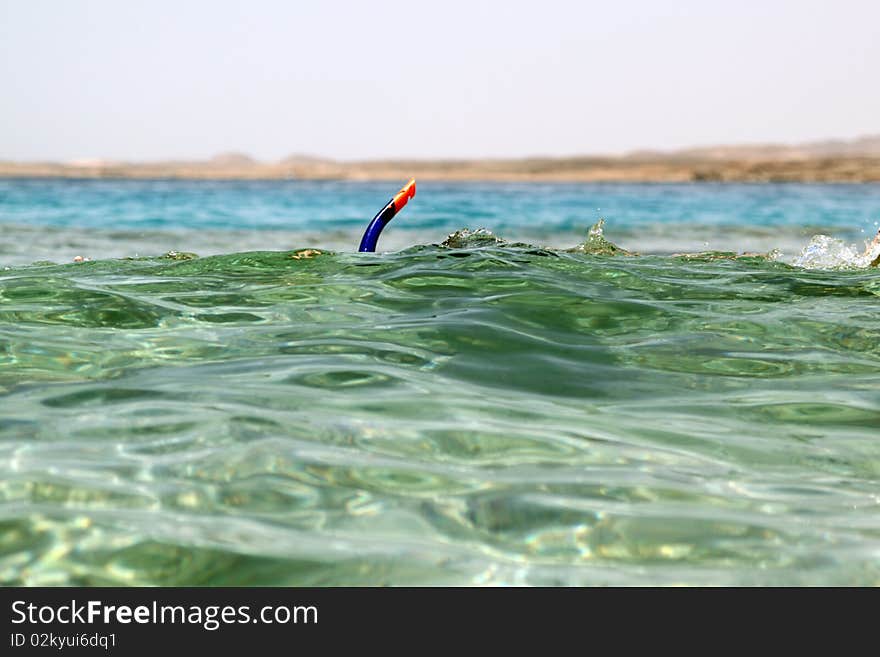 Snorkeling on vacation in  Egypt, Red Sea. Snorkeling on vacation in  Egypt, Red Sea