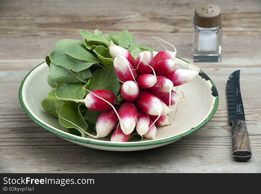 A Bunch Of Fresh French Breakfast Radish In A Enamel Dish, With A Knife and Salt Pot On A Wooden Kitchen Table. A Bunch Of Fresh French Breakfast Radish In A Enamel Dish, With A Knife and Salt Pot On A Wooden Kitchen Table