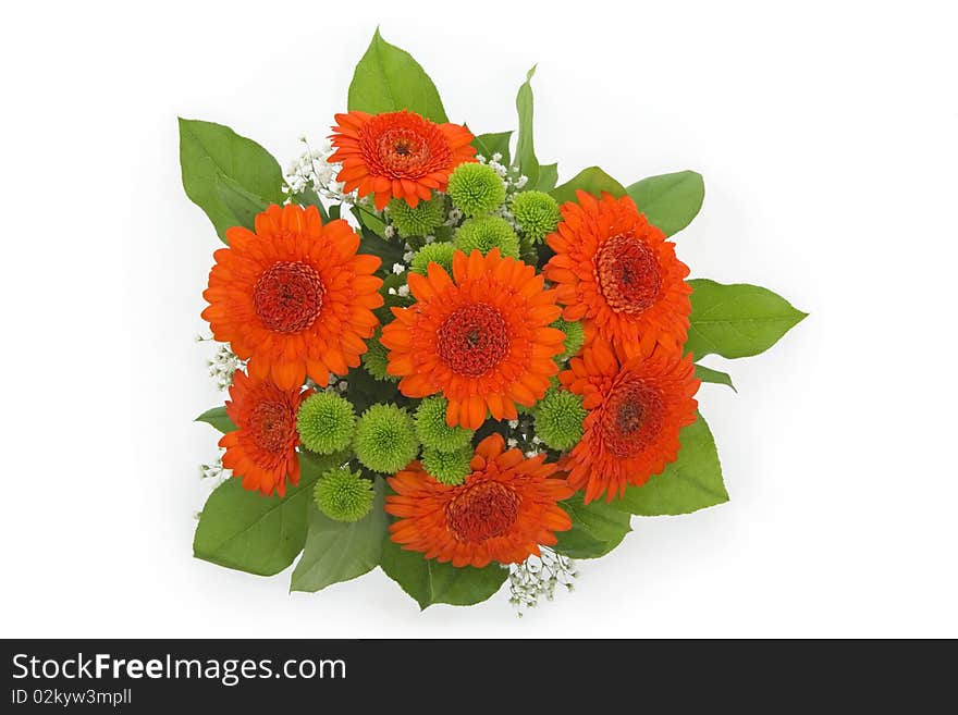 Bouquet from orange gerbera,on white background. Bouquet from orange gerbera,on white background.