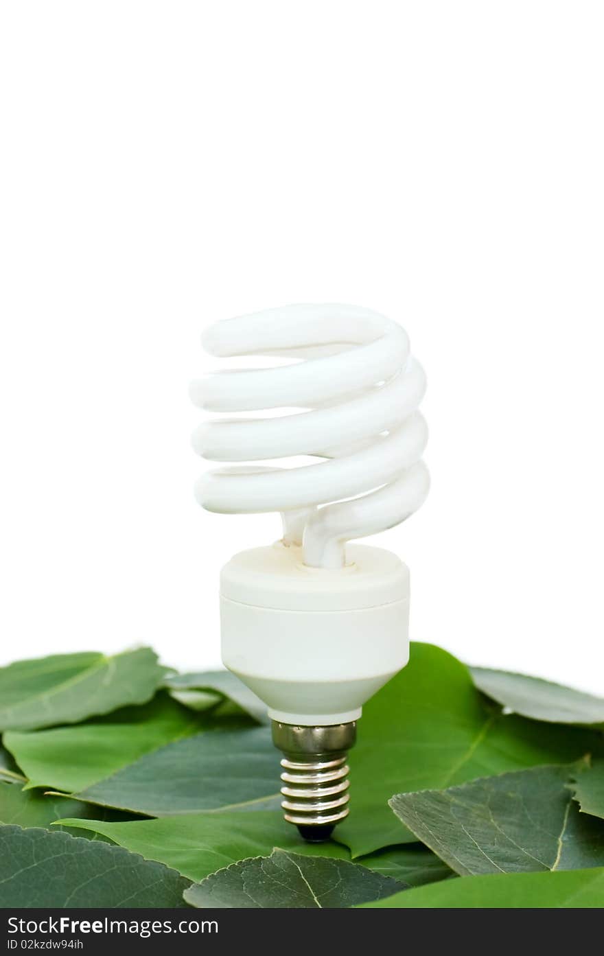 Energy saving light bulb on green leaves isolated over white