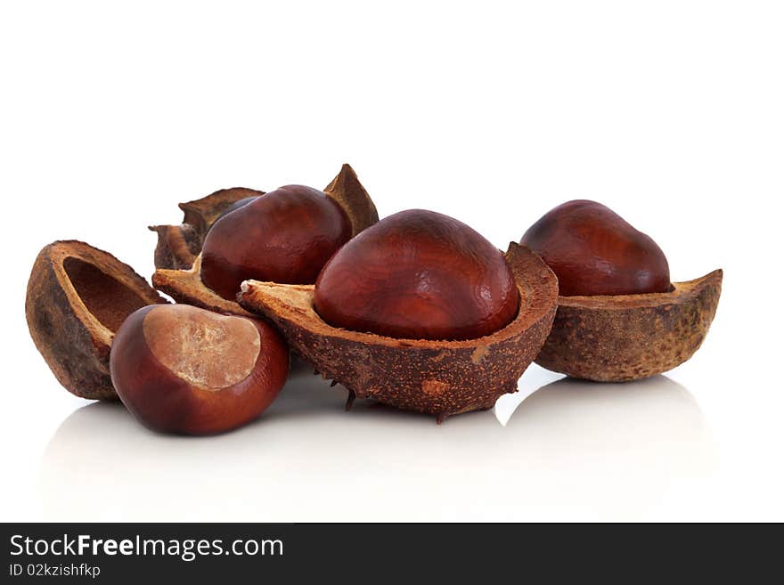 Chestnut group in husks isolated over white background with reflection. Chestnut group in husks isolated over white background with reflection.