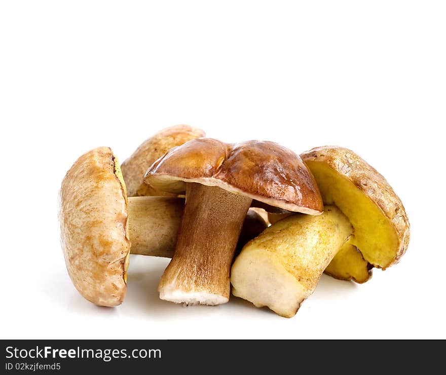 Mushrooms (pilze) on a white background. Mushrooms (pilze) on a white background