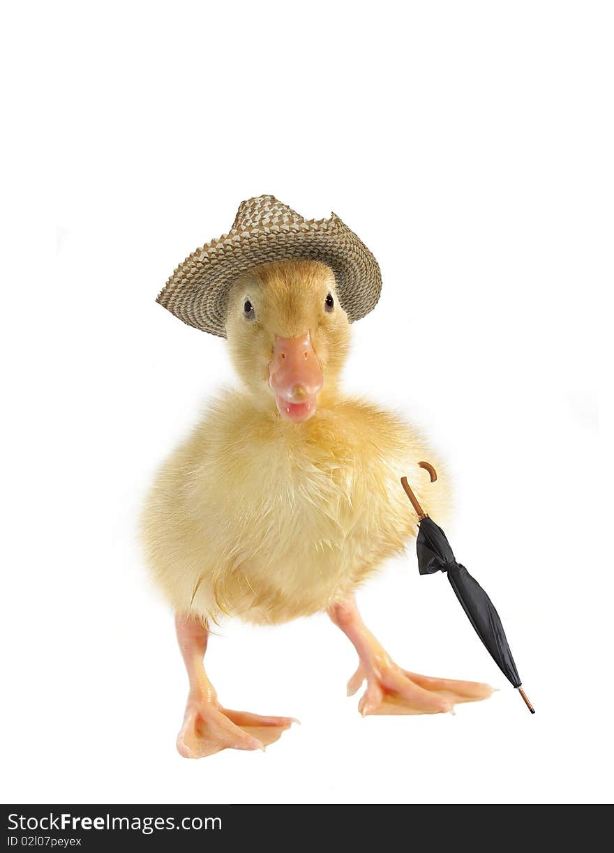 Small duck in straw hat on white background. Small duck in straw hat on white background