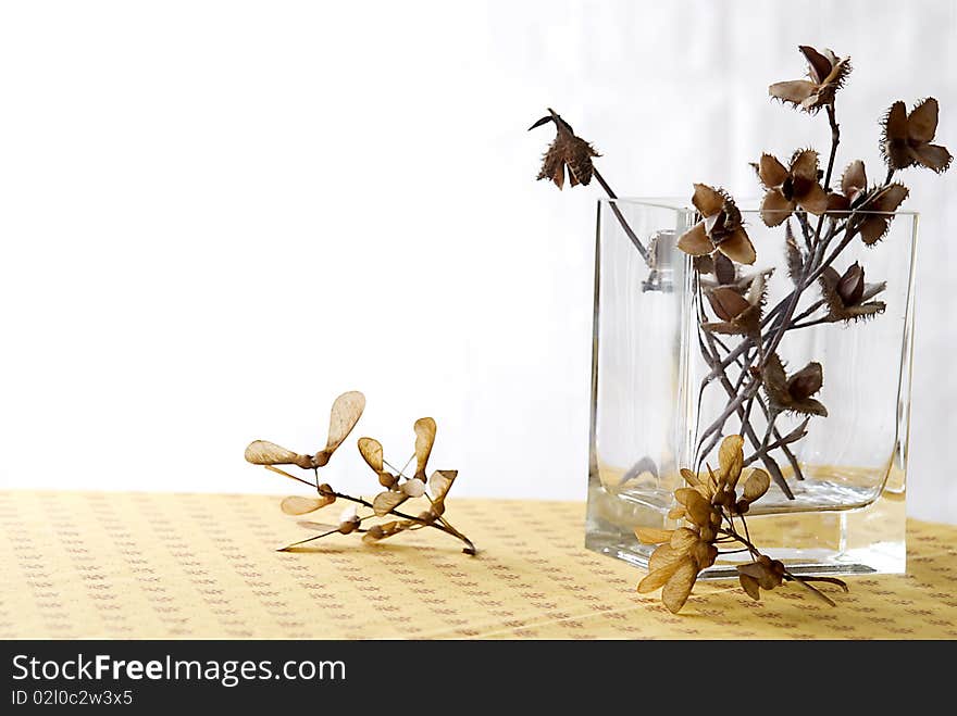 Autoumnal interior decoration with dried flowers