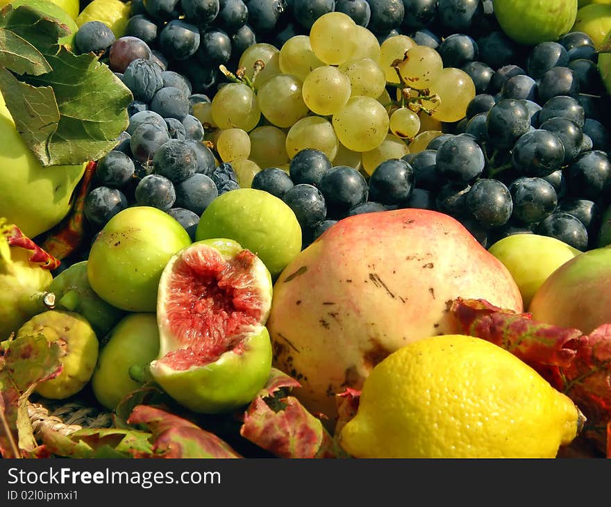 Fruit collection (black and white grapes, figs, citrus). Fruit collection (black and white grapes, figs, citrus)