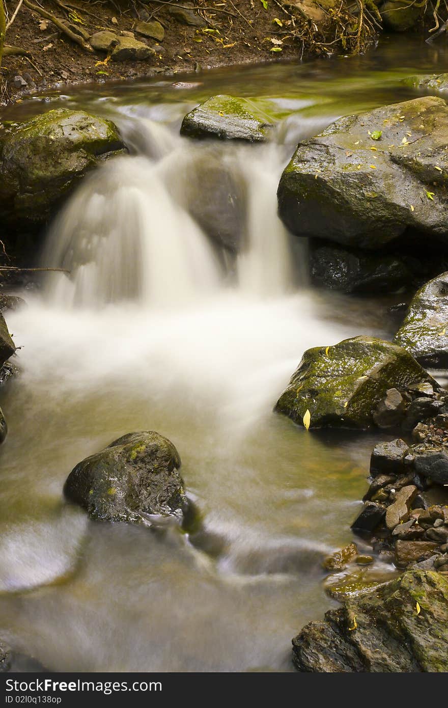 Large, mossy stones, torrential river. Large, mossy stones, torrential river.