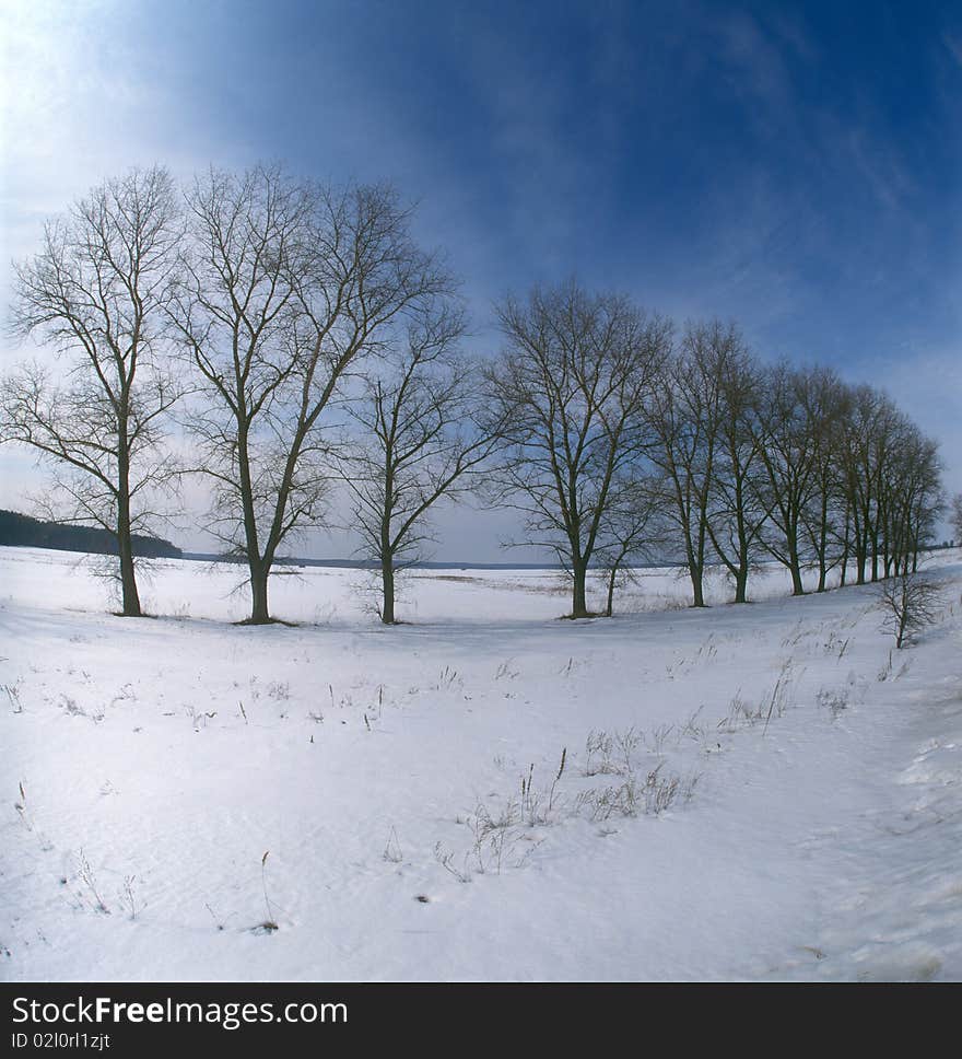 Winter landscape. Chernigiv region, Ukraine.