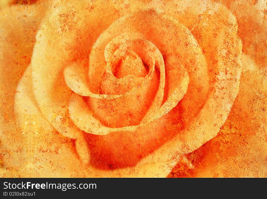 Floral picture with patina - rose. Floral picture with patina - rose