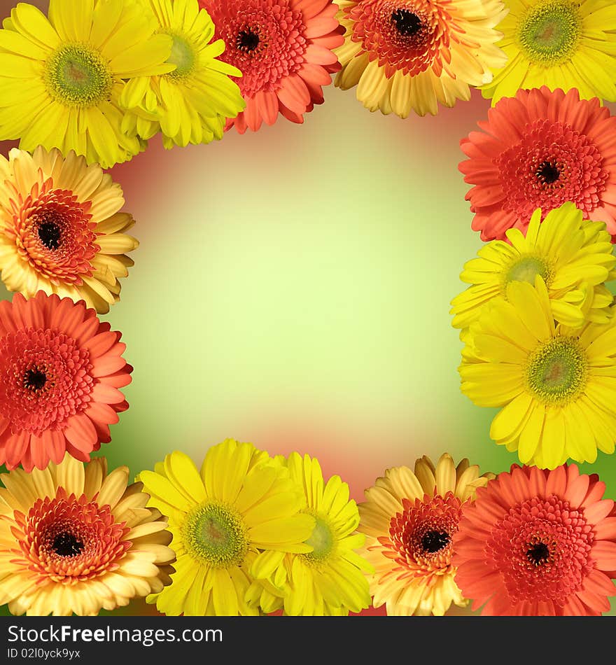 Yellow and orange blooms - frame for your text. Yellow and orange blooms - frame for your text