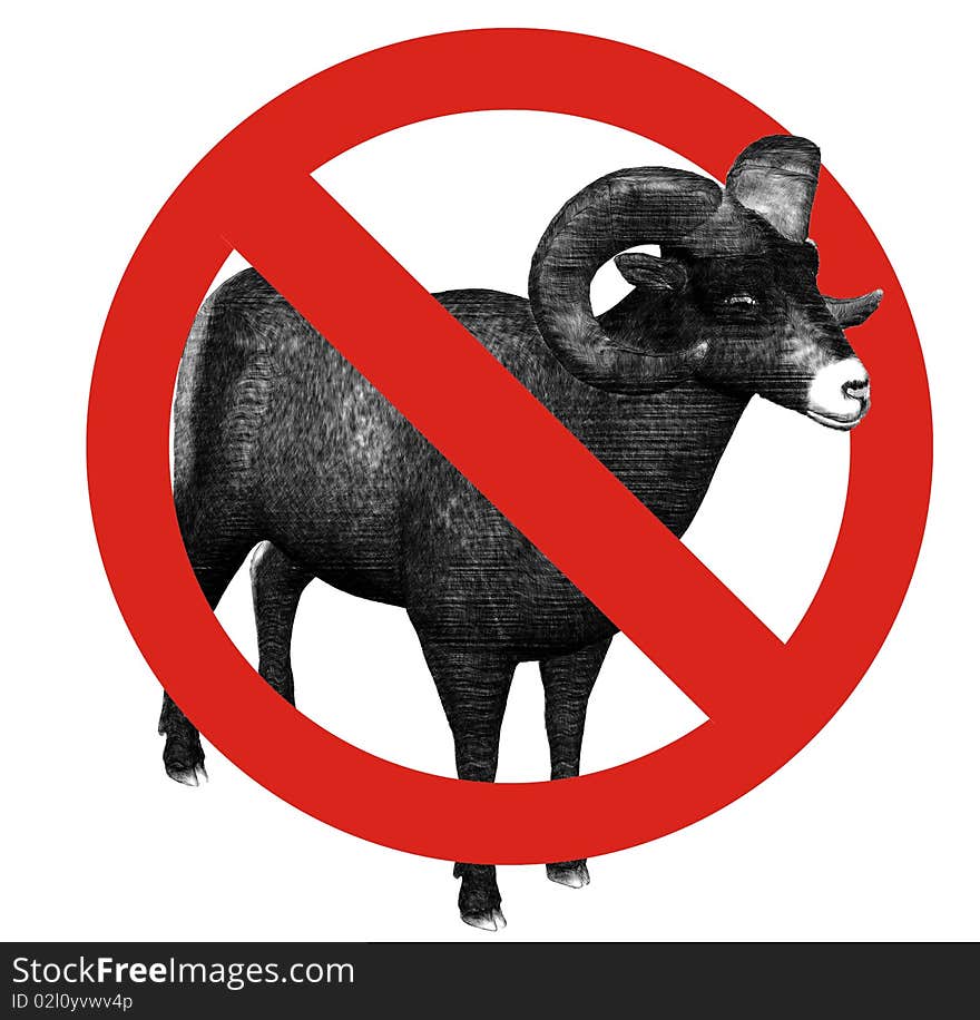 No Sheep Allowed