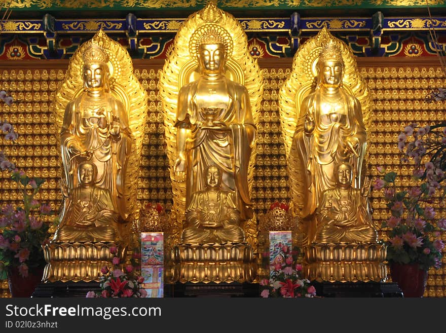 Three Golden Buddha