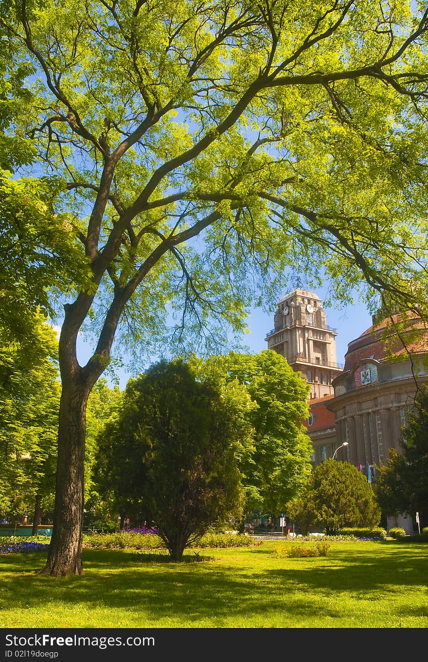 View at the town clock from the beautiful park. View at the town clock from the beautiful park.