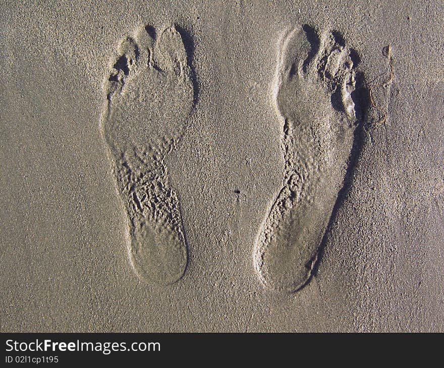 Footprints in the sand in a sunny day.