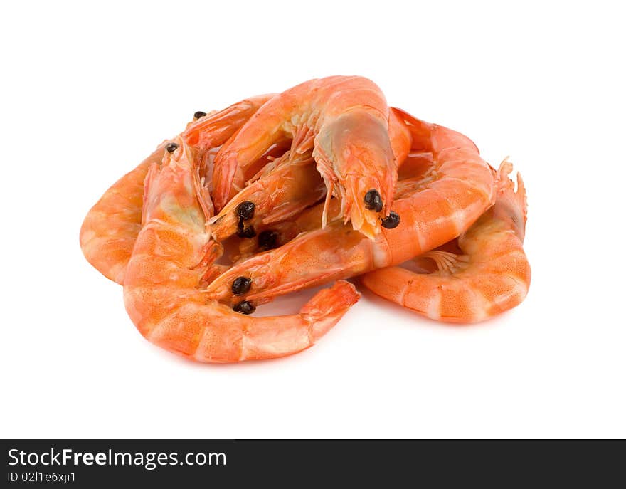 Shrimp isolated on a white background