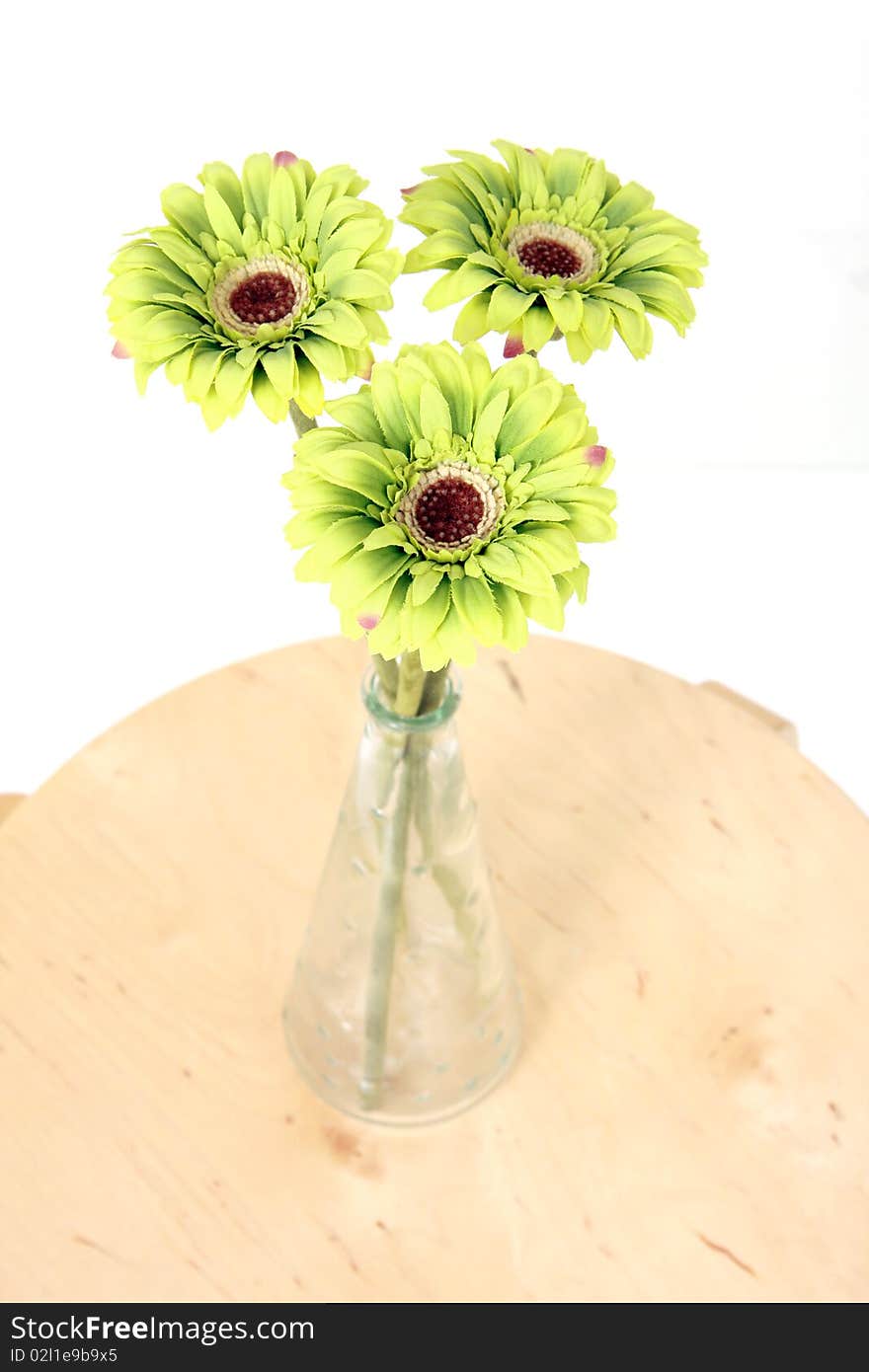 Green daisy flowers in a vase on top of a wooden chair in front of a white background. Green daisy flowers in a vase on top of a wooden chair in front of a white background.