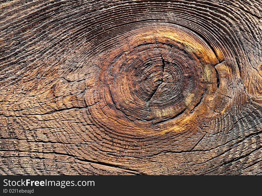 Wood texture