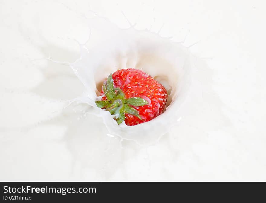 A fresh red strawberry splashing into milk. A fresh red strawberry splashing into milk