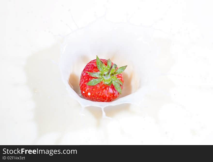 A fresh red strawberry splashing into milk. A fresh red strawberry splashing into milk