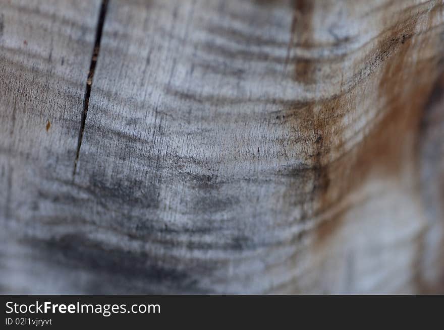 A weathered tree stump with ridges, lines, cracks and different colors make an interesting background or texture image. A weathered tree stump with ridges, lines, cracks and different colors make an interesting background or texture image