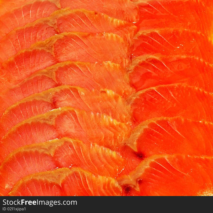 Salmon