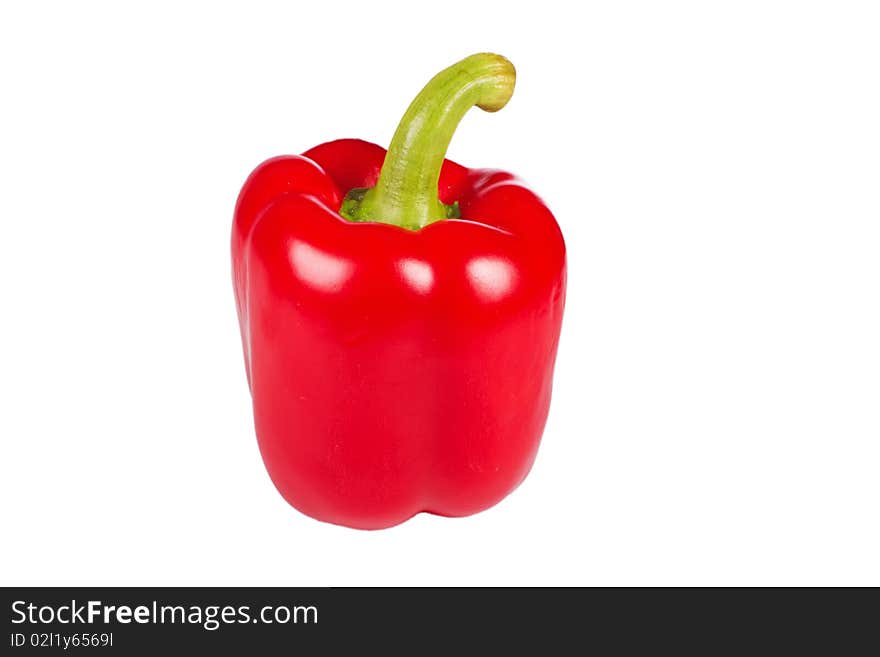 Single red sweet pepper