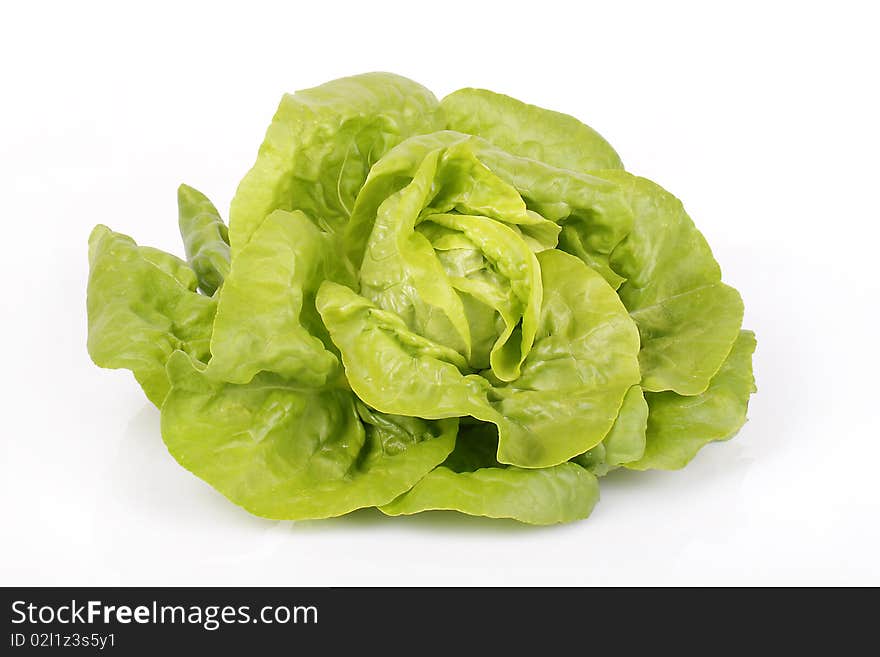 Big fresh green lettuce on white background. Big fresh green lettuce on white background