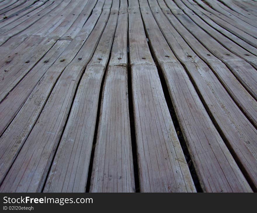 Bamboo in a line background. Bamboo in a line background