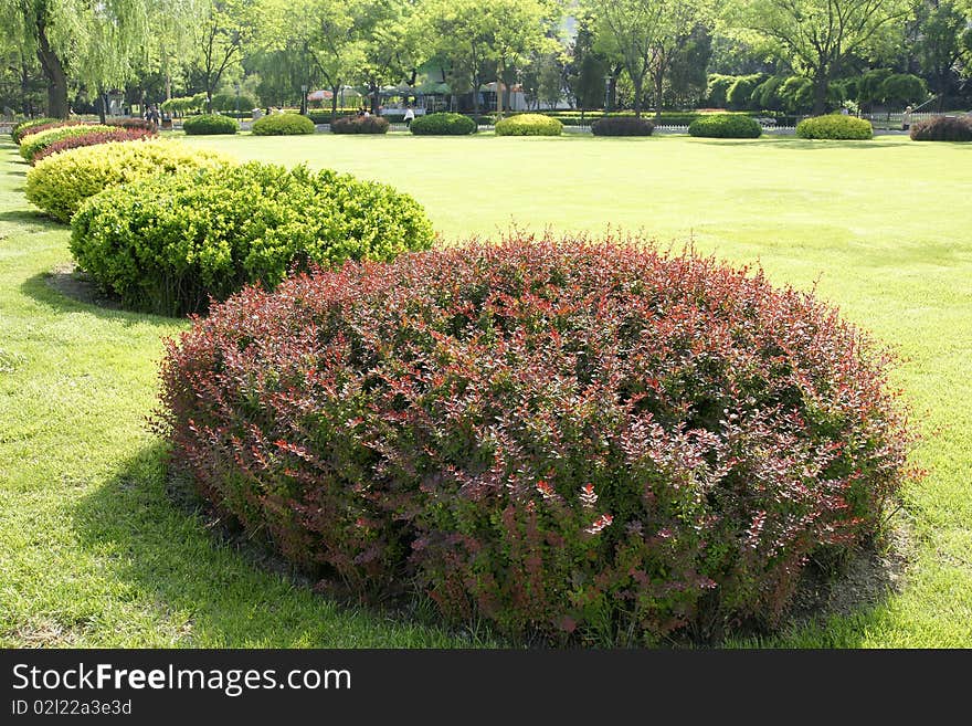 Aestival scenery in the park