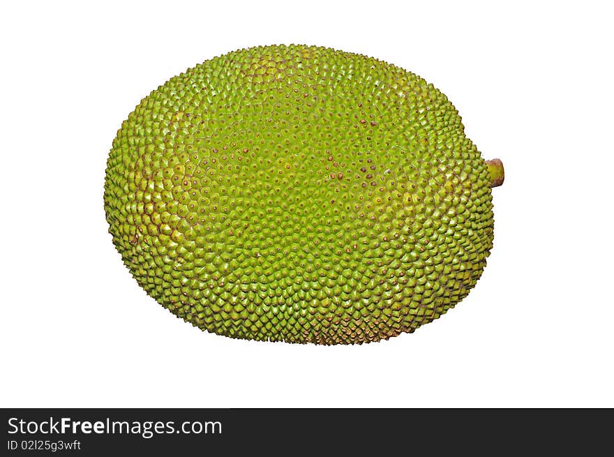 Jack fruit