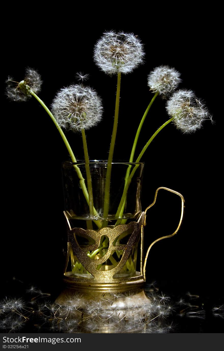 Cute dandelions in the glass