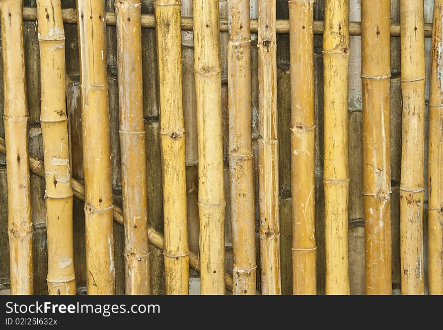 Bamboo texture, I take with EOS400D