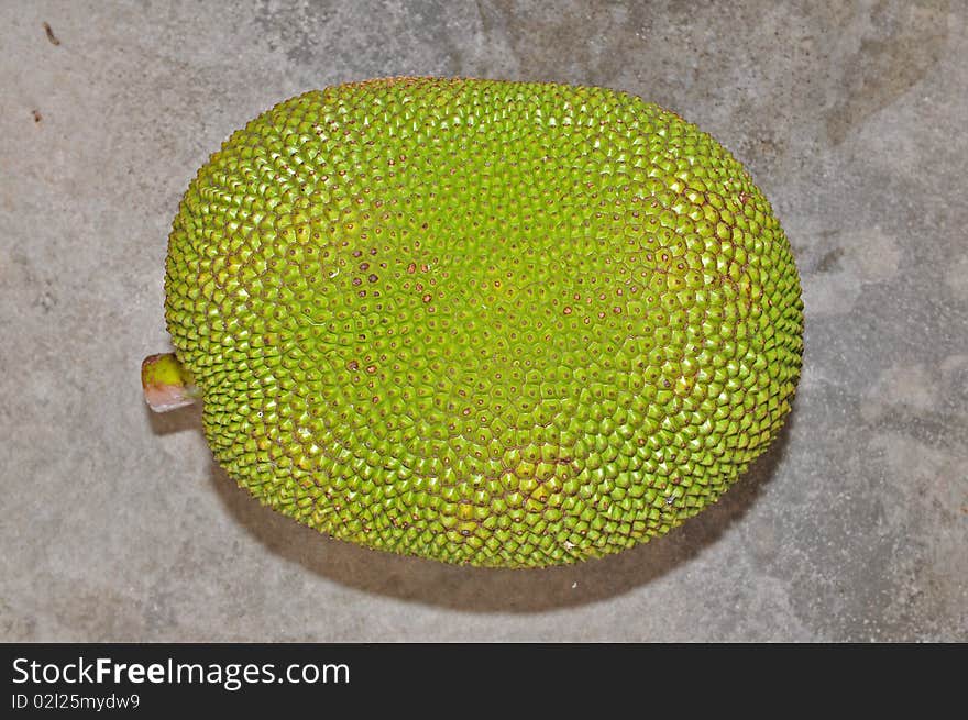 Jack fruit