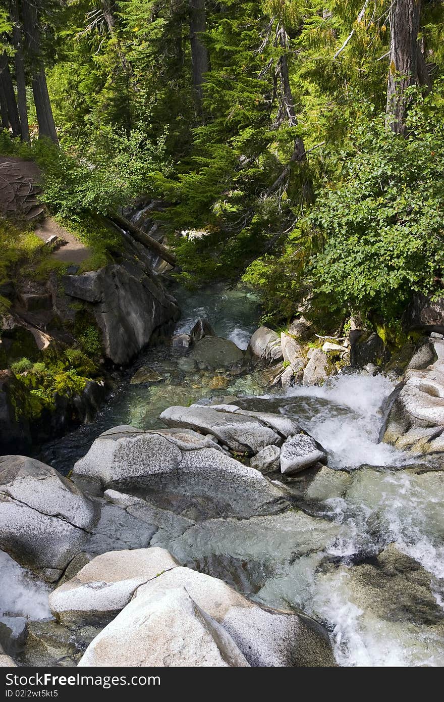 Waterfall in the forest, in the National Park of Grand Tetons