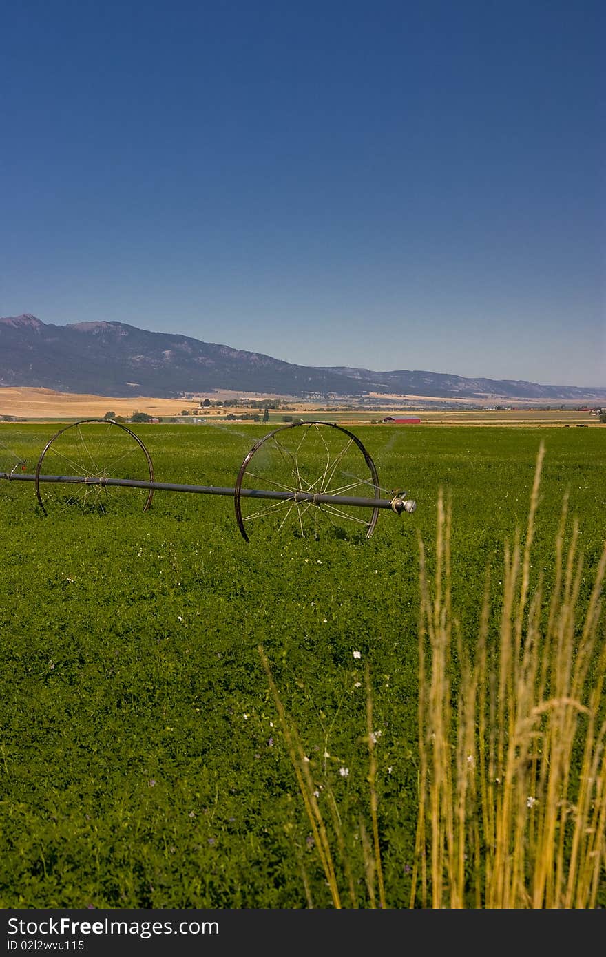 Green field with water system in the West of the United States of America. Green field with water system in the West of the United States of America