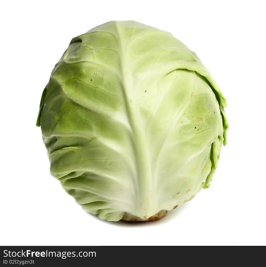 Cabbage