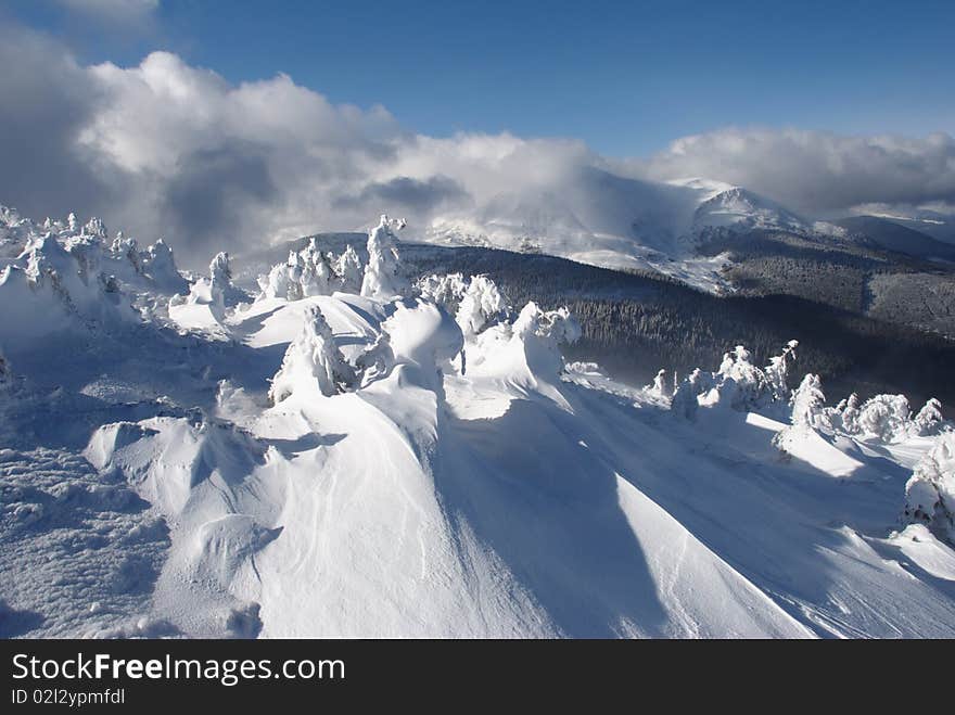 Fur-trees in ice on a mountain winter slope in a mountain landscape with white snow. Fur-trees in ice on a mountain winter slope in a mountain landscape with white snow