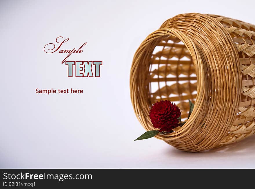 Red flower in a vase on a white background. Red flower in a vase on a white background.